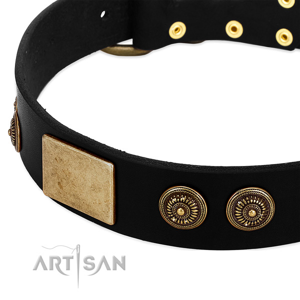 Rust-proof hardware on full grain natural leather dog collar for your dog