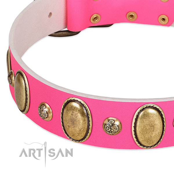 Stylish walking flexible leather dog collar