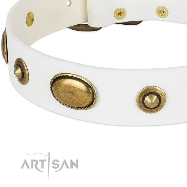 Strong decorations on full grain leather dog collar for your canine