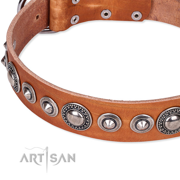 Stylish walking decorated dog collar of top notch full grain leather