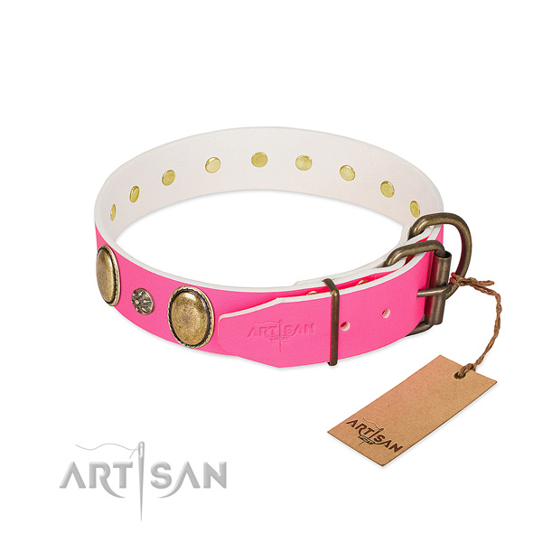 High quality full grain natural leather dog collar with embellishments