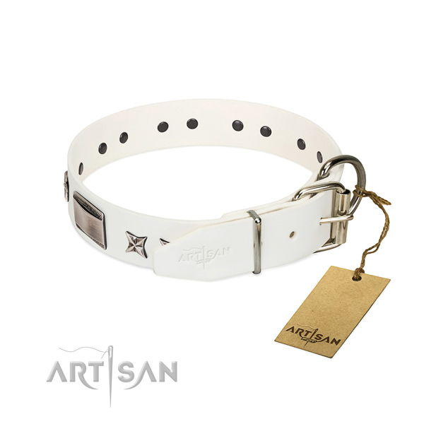 Extraordinary collar of full grain genuine leather for your handsome four-legged friend