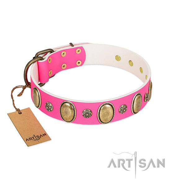 Top notch full grain leather dog collar with rust resistant fittings