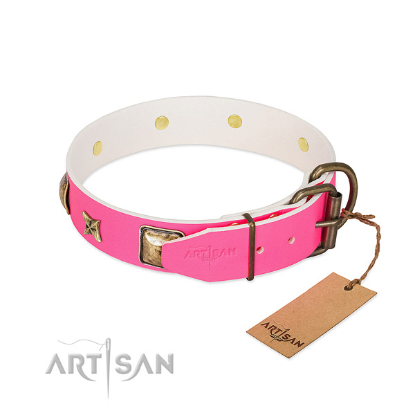Rust resistant buckle on natural genuine leather collar for basic training your four-legged friend