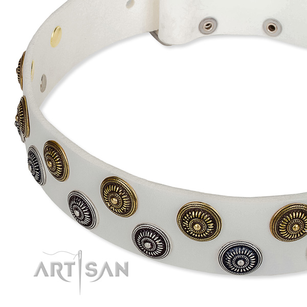 Basic training studded dog collar of durable natural leather