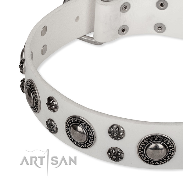 Daily use decorated dog collar of finest quality full grain genuine leather