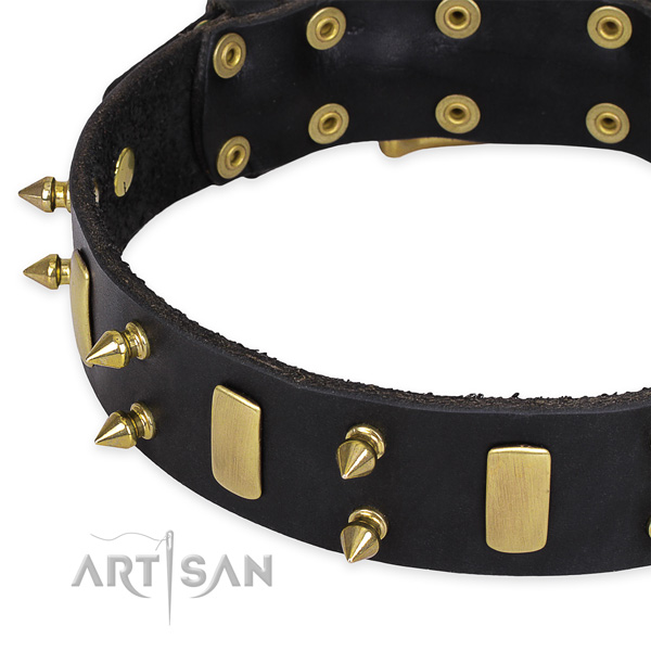 Everyday walking decorated dog collar of quality natural leather