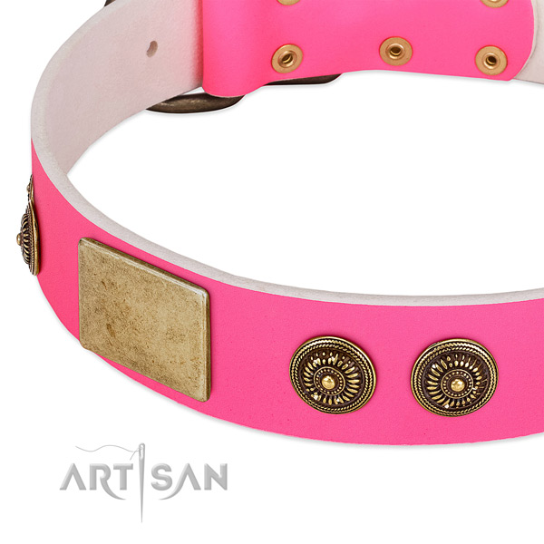 Adorned dog collar crafted for your stylish canine