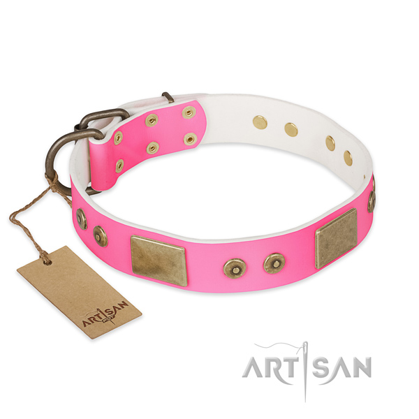 Easy adjustable full grain natural leather dog collar for daily walking your four-legged friend