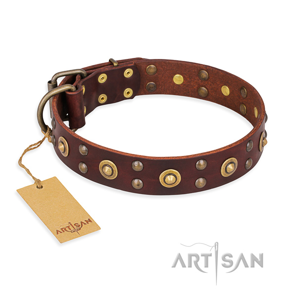 Adjustable full grain genuine leather dog collar with reliable traditional buckle