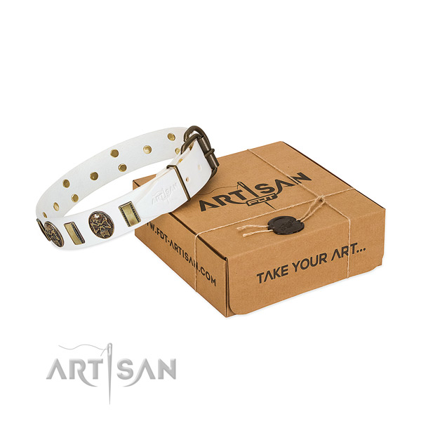 Corrosion proof buckle on leather dog collar for basic training