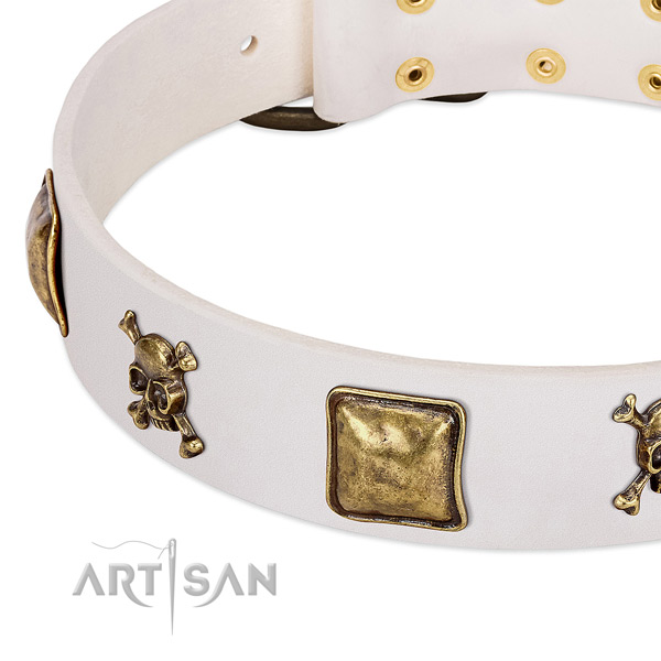 Exceptional full grain genuine leather dog collar with rust resistant studs