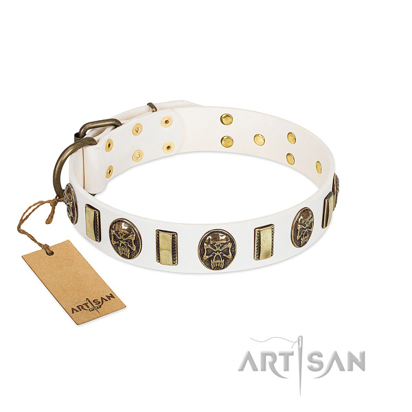 Exceptional leather dog collar for comfy wearing