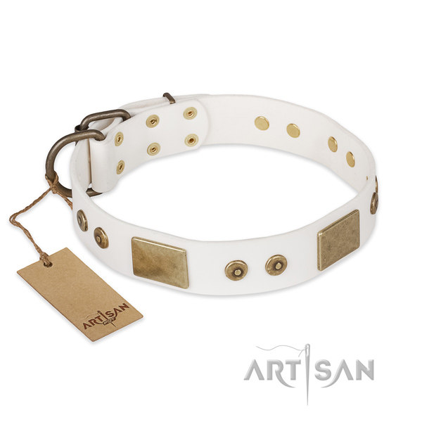 Trendy genuine leather dog collar for handy use