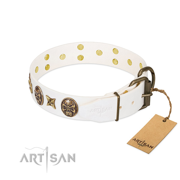 Rust resistant hardware on leather collar for stylish walking your canine
