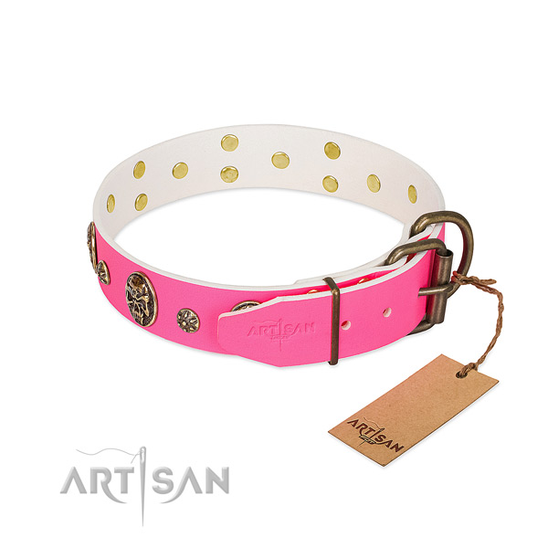 Durable fittings on full grain natural leather collar for daily walking your doggie