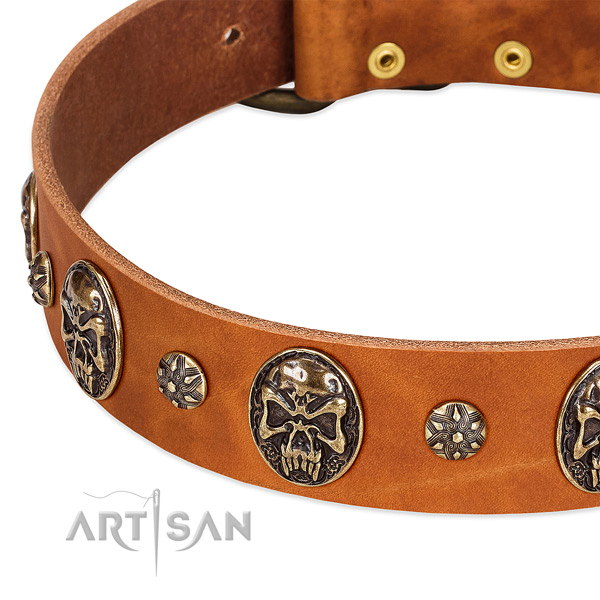 Rust resistant traditional buckle on full grain leather dog collar for your four-legged friend