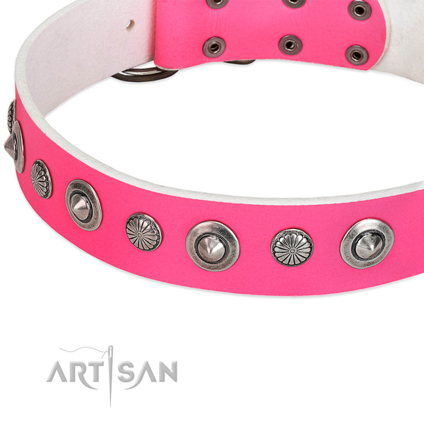 Leather collar with reliable D-ring for your beautiful canine