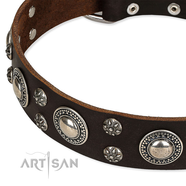 Basic training embellished dog collar of best quality full grain natural leather