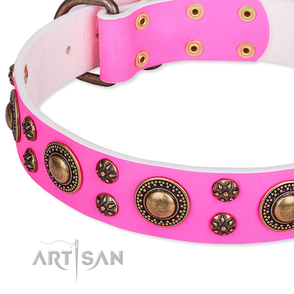 Fancy walking embellished dog collar of best quality full grain leather