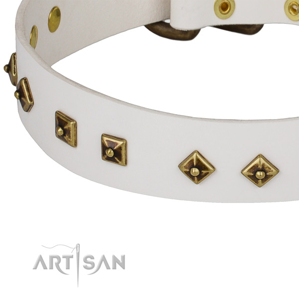 Embellished full grain natural leather collar for your stylish doggie