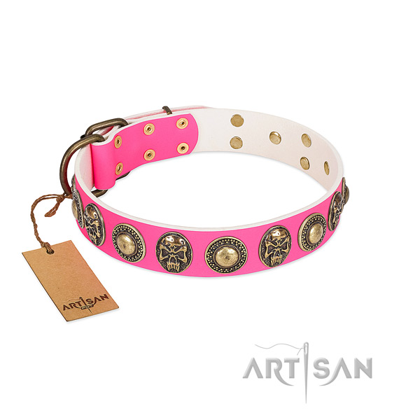 Easy to adjust genuine leather dog collar for stylish walking your pet