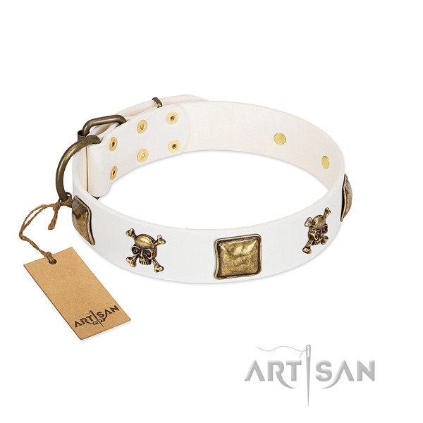 Impressive leather dog collar with corrosion proof adornments