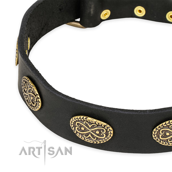 Remarkable full grain natural leather collar for your impressive dog