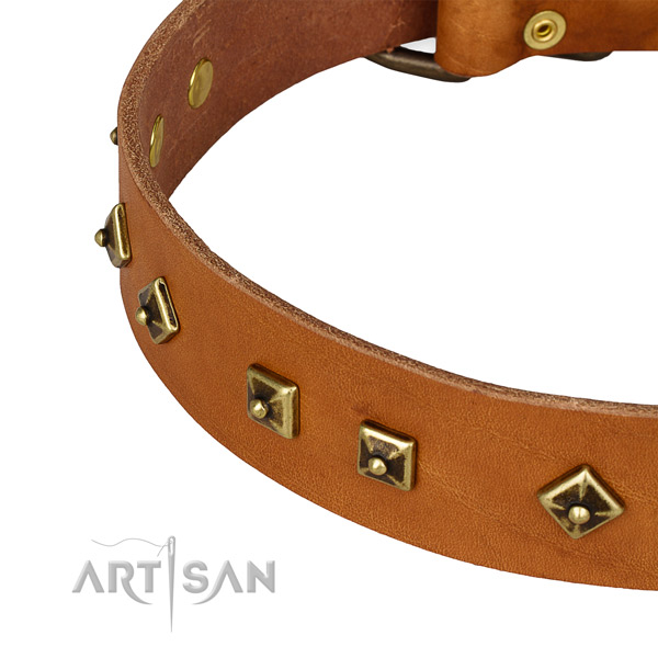 Easy adjustable full grain natural leather collar for your attractive doggie