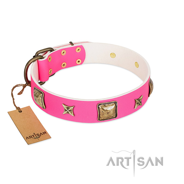 Full grain leather dog collar of top notch material with unusual decorations