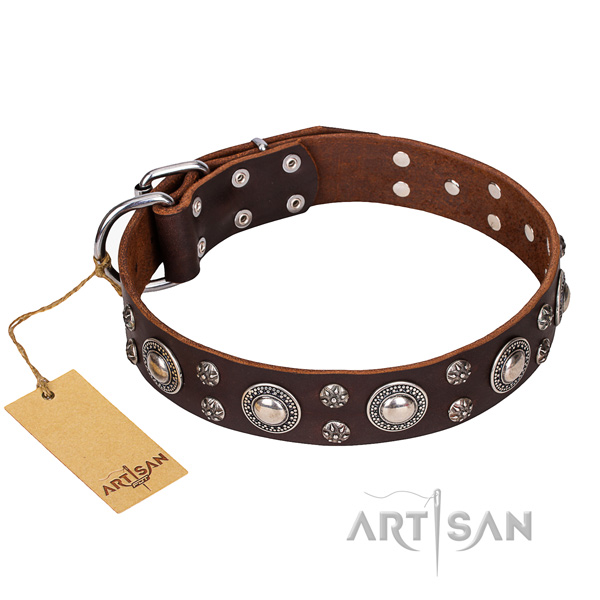 Fancy walking dog collar of reliable natural leather with studs