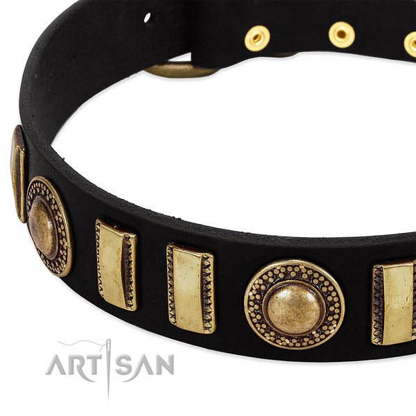 Top rate genuine leather dog collar with strong hardware