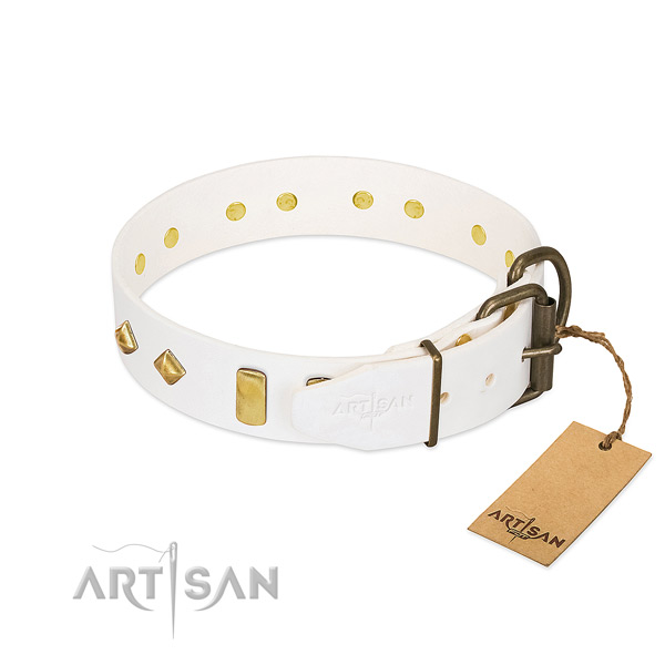 Flexible full grain natural leather dog collar with rust resistant hardware
