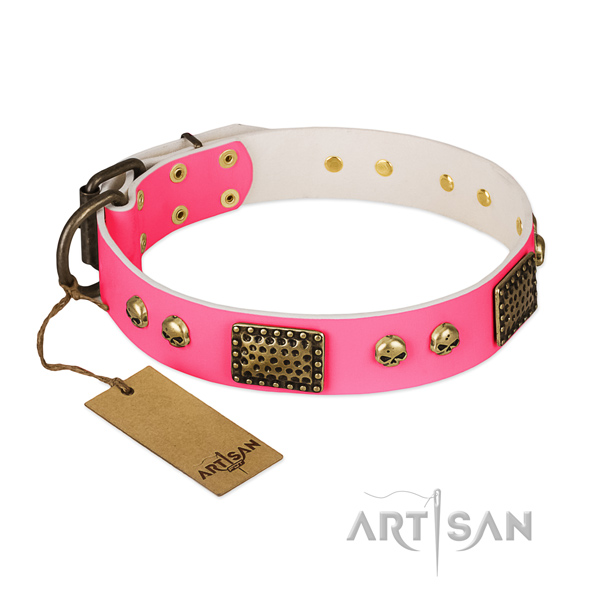Easy to adjust natural leather dog collar for walking your canine