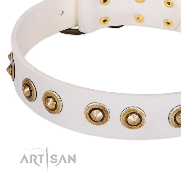 Durable fittings on leather dog collar for your canine