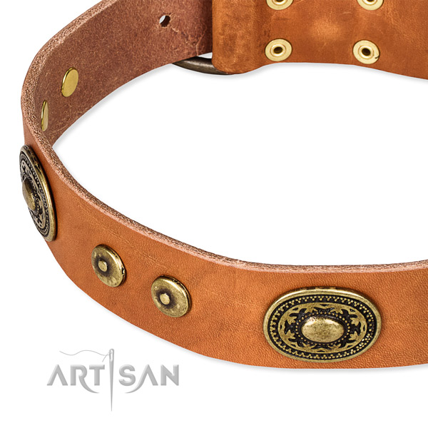 Leather dog collar made of high quality material with decorations