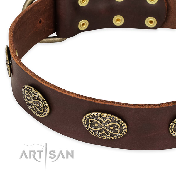 Easy to adjust genuine leather collar for your stylish pet