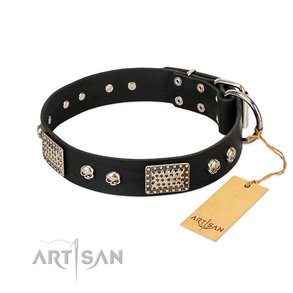 Adjustable genuine leather dog collar for stylish walking your doggie