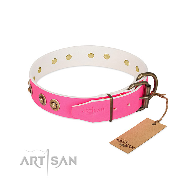 Natural genuine leather dog collar with rust resistant hardware and embellishments