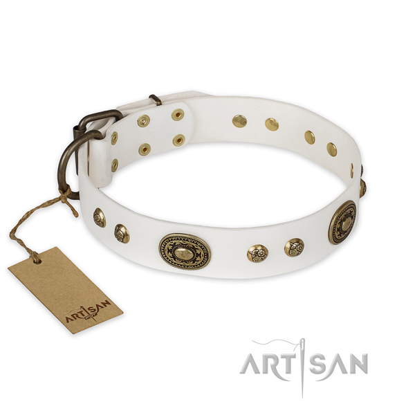 Top notch full grain natural leather dog collar for everyday walking