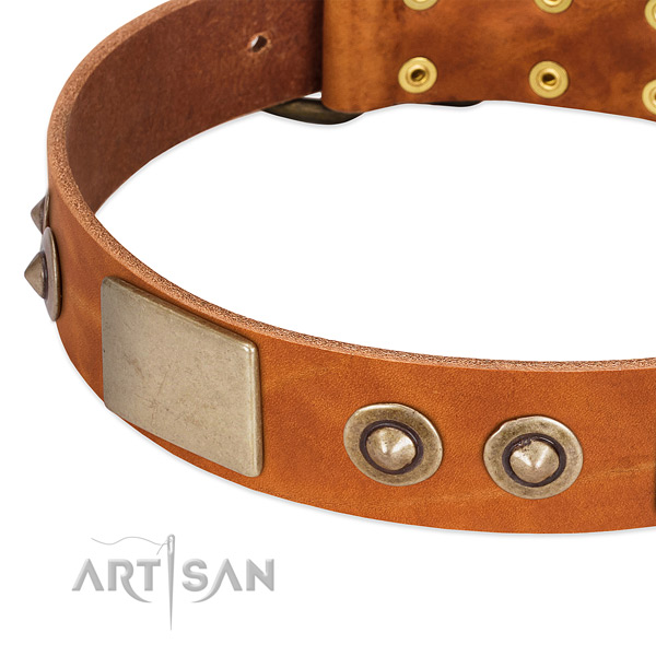 Corrosion proof decorations on full grain natural leather dog collar for your four-legged friend