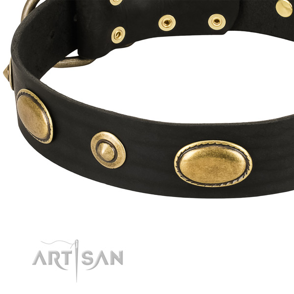 Rust resistant fittings on full grain leather dog collar for your four-legged friend