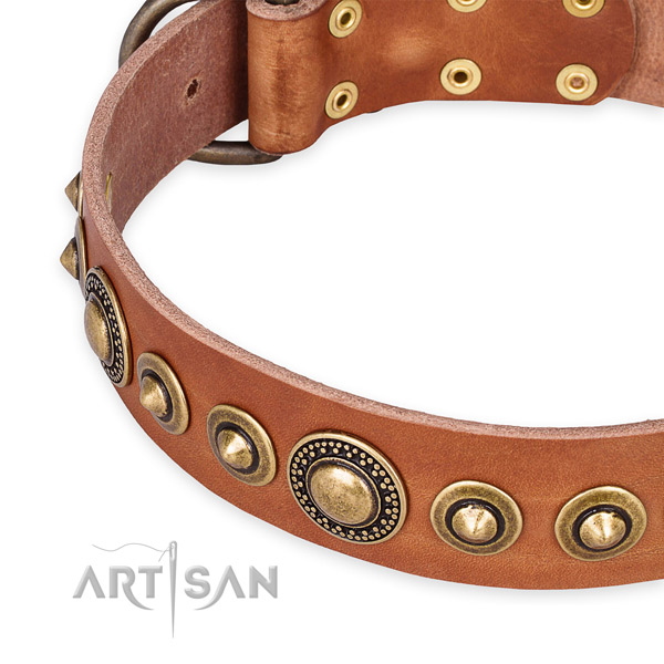 Best quality full grain natural leather dog collar handmade for your beautiful canine