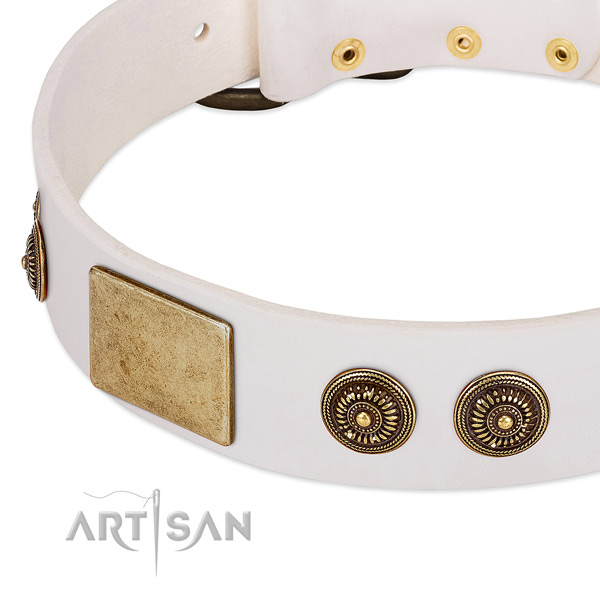 Decorated dog collar crafted for your beautiful four-legged friend