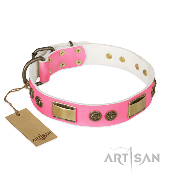 Awesome full grain genuine leather dog collar for walking