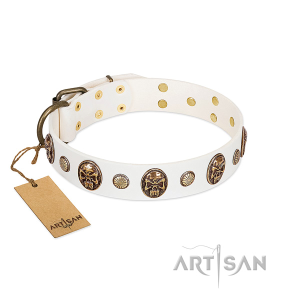 Adjustable genuine leather dog collar for daily use