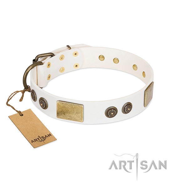 Exceptional natural genuine leather dog collar for everyday walking