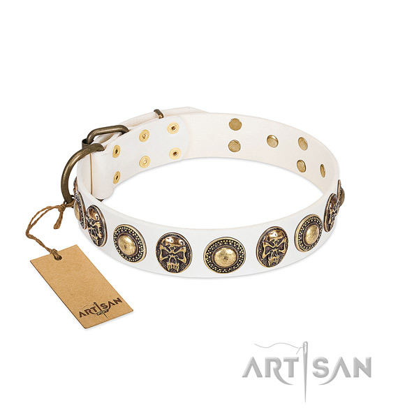 Adjustable leather dog collar for everyday walking your four-legged friend