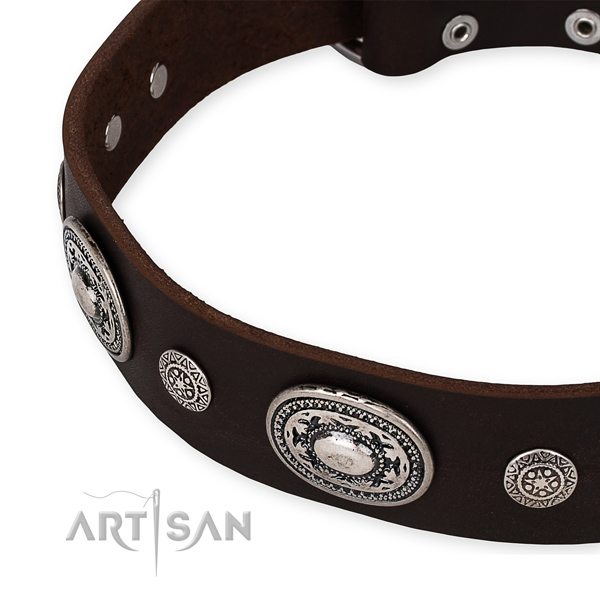 Strong full grain leather dog collar made for your beautiful dog