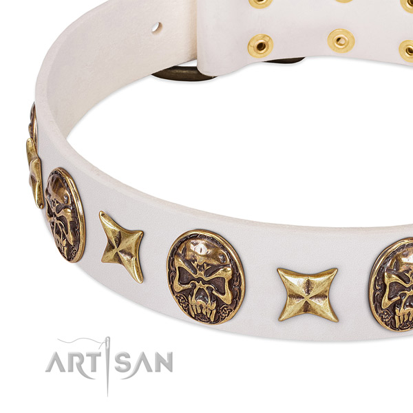 Genuine leather dog collar with rust resistant fittings
